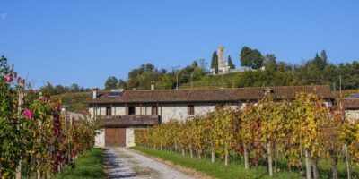 cantine-aperte-san-martino_intro